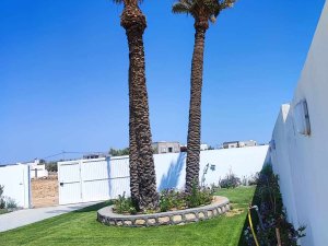 villa piscine pour location annuelle djerba Tunisie