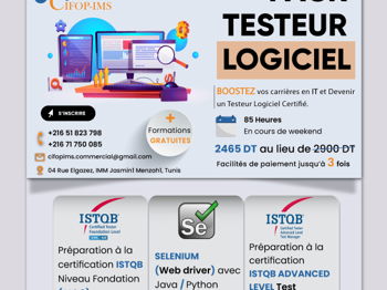 Pack Testeur Logiciel Tunis Tunisie