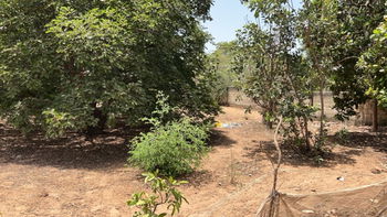 terrains 300 mètres carrés  à vendre à Saly