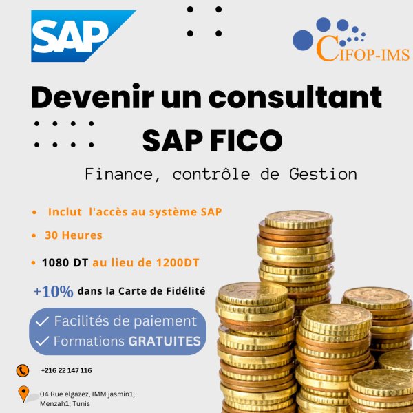 Formation SAP Fico Finance Contrôle gestion Tunis Tunisie