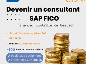 Formation SAP Fico Finance Contrôle gestion Tunis Tunisie