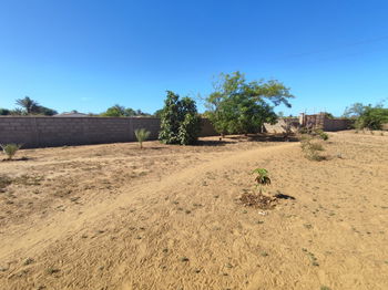 VENDRE-Terrain plat 13 454m2 pied des Dunes Betsinjaka TULEAR MADAGASCAR