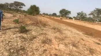 Vente TERRAIN AGRICOLE 2 37ha Thies Sénégal