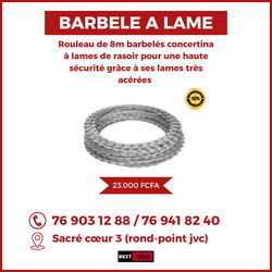 barbelés à fil et à lame