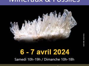 Cristal de Roche, 34è bourse vente minéraux et fossiles