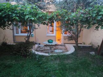 Jardin d'oliviers