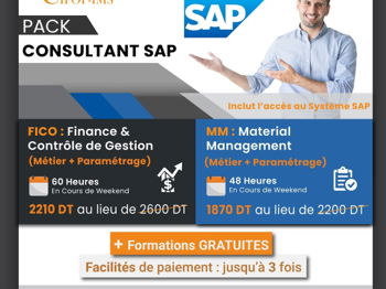 Annonce Pack Consultant SAP Tunis Tunisie