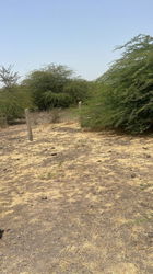 Terrain 300 mètres carrés à Nguékhokh