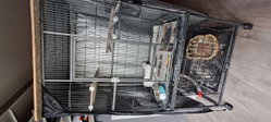 Cages