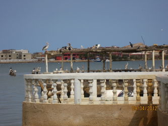 Location appartement saint louis senegal Sénégal