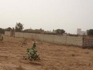 Vente Terrain 900m cloturé 20m/45m Somone Village Sénégal