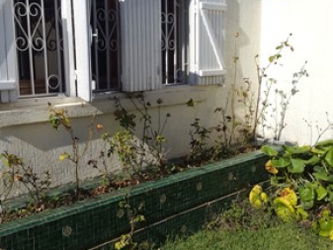 jardin