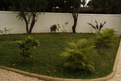Jardin