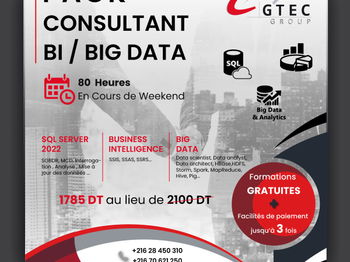 Annonce Pack consultant BI/Big Data L&#039;Ariana Tunisie