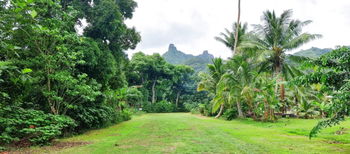 Vente Terrain acheter pour investisseur Haapiti l&#039;île Moorea Polynésie Fran&amp;ccedil;aise