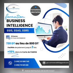 BI/POWER BI