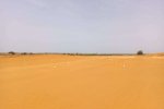 Terrain à vendre à Thies / Sénégal (photo 3)