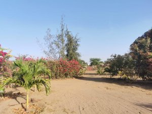Vente TERRAIN 2700M2 MBALING M&#039;Bour Sénégal