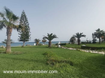 Annonce location APPARTEMENT OEDIPE Hammamet Centre Tunisie