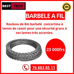 Sécurité électronique