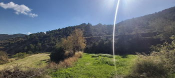 Vente TERRAIN RUSTIQUE 319800M2 RELLEU ALICANTE Espagne