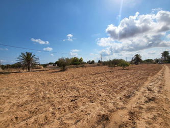 Vente 1 terrain Ghizen Djerba Tunisie
