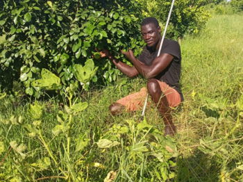 Annonce Vente Champ ha toubacouda Saly Portudal Sénégal