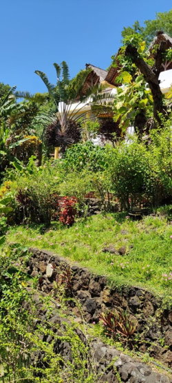 Jardin luxuriant 