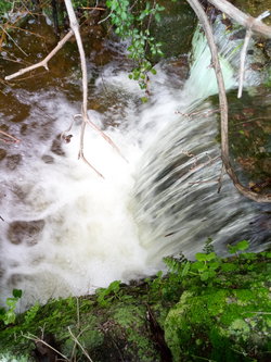 Eau en abondance, Source, Ruisseau, Forage, Étang XXL