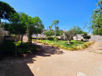 jardin