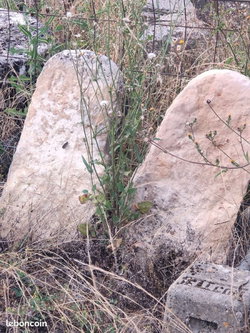 socle