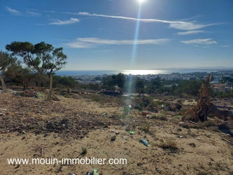 Vente TERRAIN NORA Hammamet Zone Craxi Tunisie