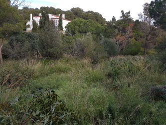 Vente ROSES- PUIG ROM- TERRAIN PLAT VUE MER Espagne