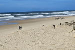 plage du penon