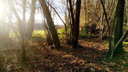 en bas du terrain