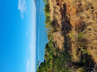 Terrain 12000m2