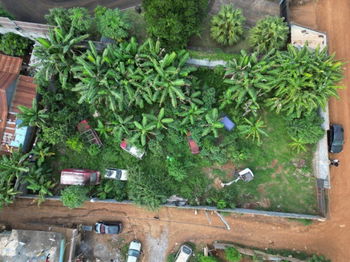 Location terrain constructible Combani Mayotte
