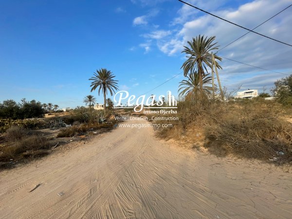 Vente Terrain coté plage Seguia première position Djerba Tunisie