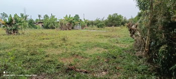 tamatave