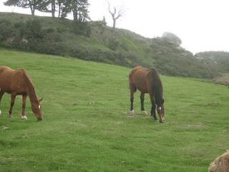 retraite votre cheval Lozère Serverette