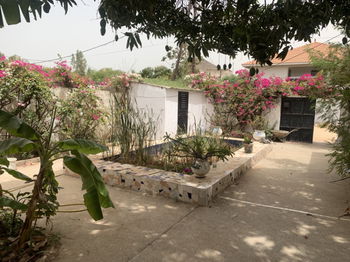 Annonce Vente Warang 1 villa 1 terrain 440 m2 M&#039;Bour Sénégal