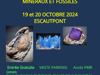 Annonce 26ème bourse Internationale Minéraux Fossiles Escautpont