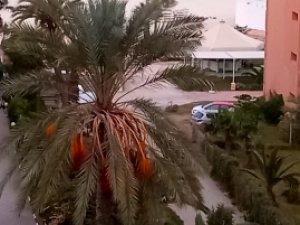 Vente S+3 c&amp;oelig ur zone touristique pieds dans l&#039;eau Sousse