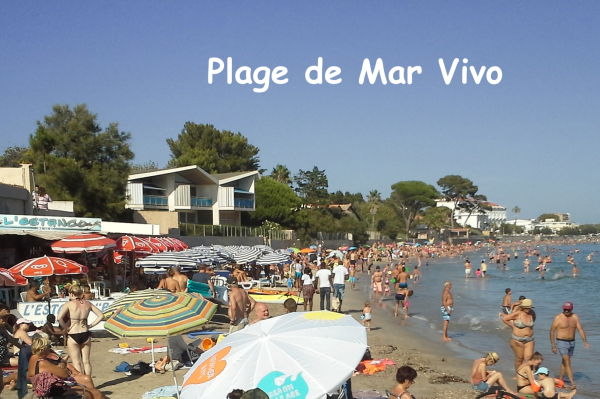plage de mar vivo