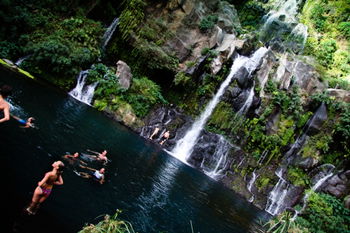 Location les creolia 1 2 Tampon Réunion