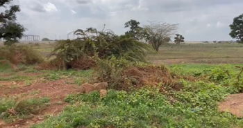 Vente 3 hectares 2000m2 Diamnadio Dakar Sénégal