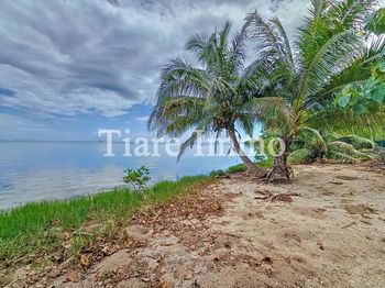 Location À Haapiti Moorea Maison semi-meublée Bungalow indépendant