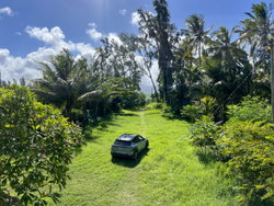 Espace vert