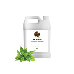 5L