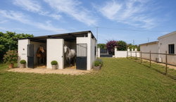 Bos à chevaux